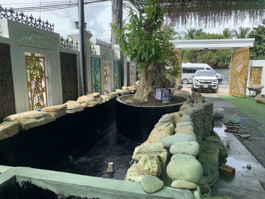 Hồ cá Koi
